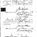Passport application, June 29, 1864