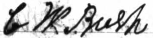 Signature of Charles W. Bush from a Freedman's Bank record, 1869