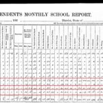 Freedmen's school report, Nov 1868