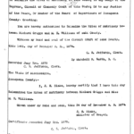 Marriage license copy, Dec 24, 1874